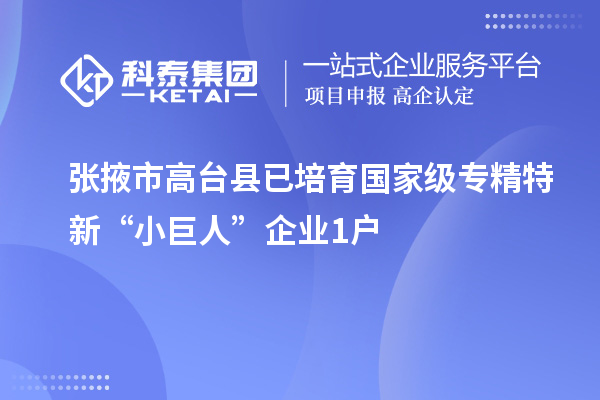 張掖市高臺縣已培育國家級專精特新“小巨人”企業1戶