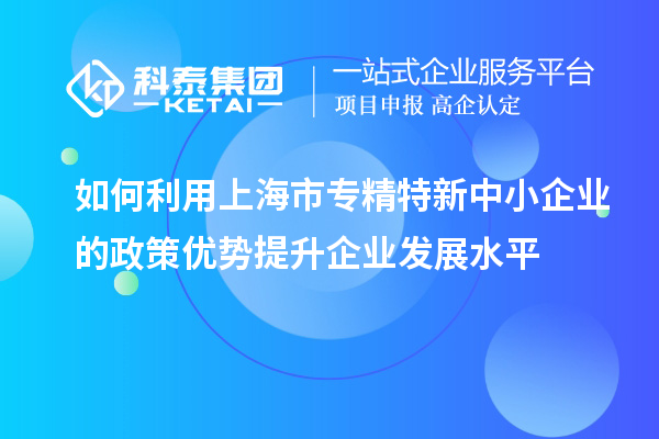 如何利用上海市專(zhuān)精特新中小企業(yè)的政策優(yōu)勢(shì)提升企業(yè)發(fā)展水平