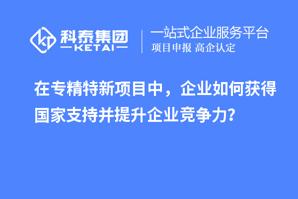 在專精特新項目中，企業如何獲得國家支持并提升企業競爭力？