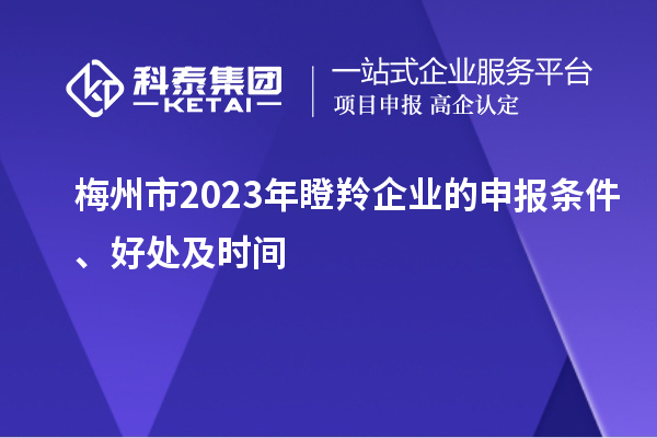 梅州市2023年瞪羚企業的申報條件、好處及時間