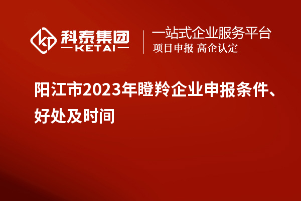 陽江市2023年瞪羚企業申報條件、好處及時間