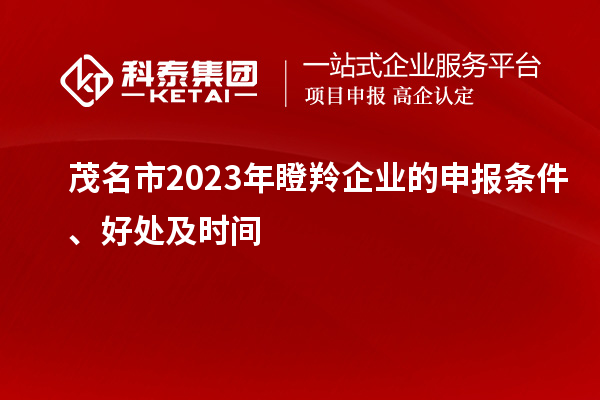 茂名市2023年瞪羚企業的申報條件、好處及時間