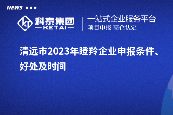 清遠市2023年瞪羚企業申報條件、好處及時間