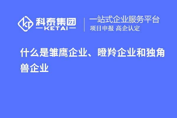 什么是雛鷹企業(yè)、瞪羚企業(yè)和獨(dú)角獸企業(yè)