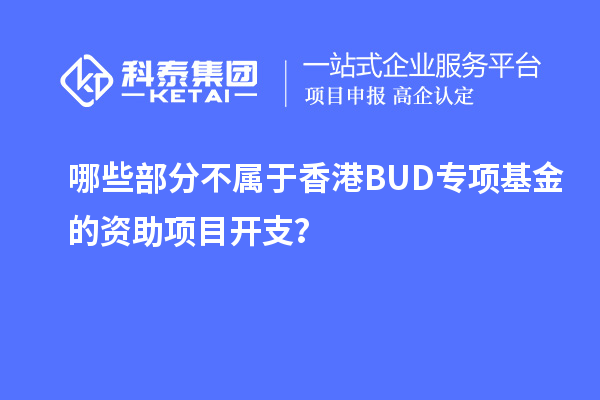 哪些部分不屬于香港BUD專項基金的資助項目開支？