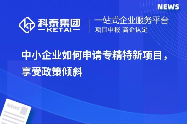 中小企業如何申請專精特新項目，享受政策傾斜