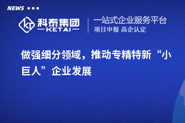 做強細分領域，推動專精特新“小巨人”企業發展