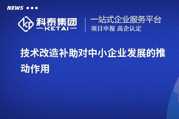  技術改造補助對中小企業發展的推動作用