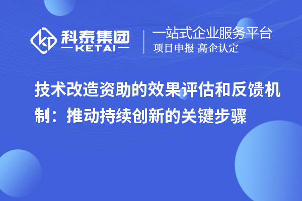 技術改造資助的效果評估和反饋機制：推動持續創新的關鍵步驟