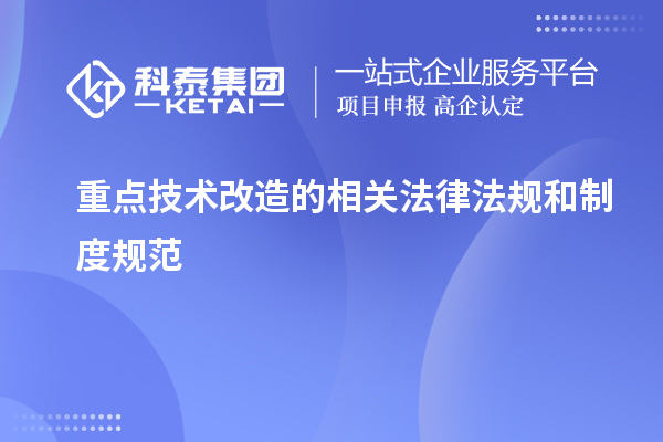 重點技術改造所涉及的法律法規和制度規范：解析與應用指南		 		