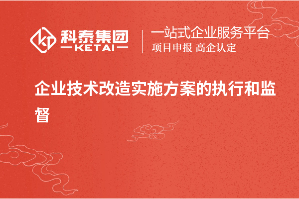 企業技術改造實施方案的執行和監督