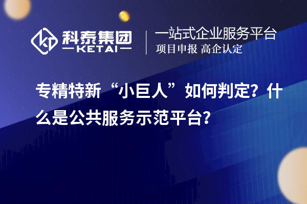 專精特新“小巨人”如何判定？什么是公共服務(wù)示范平臺？