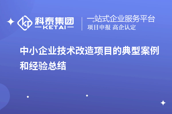 中小企業(yè)技術改造項目的典型案例和經(jīng)驗總結