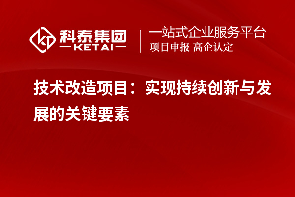 技術改造項目的核心要素：推動持續(xù)創(chuàng)新與發(fā)展的關鍵因素探討		 		