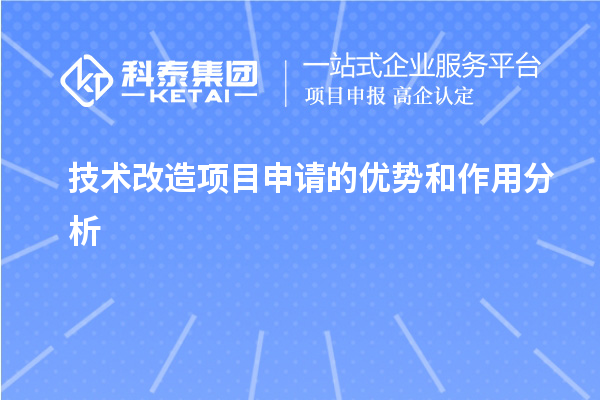 技術改造項目申請的價值與作用分析 		