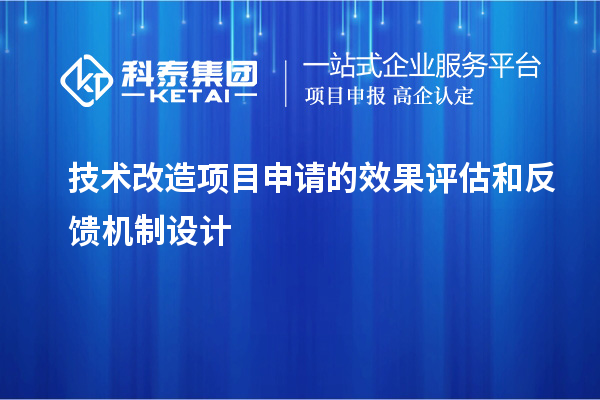 技術改造項目申請的成果評估與反饋機制探析		 		