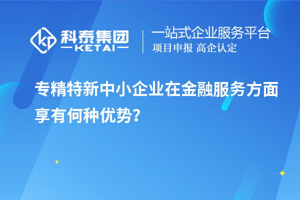 專精特新中小企業(yè)在金融服務(wù)方面享有何種優(yōu)勢？