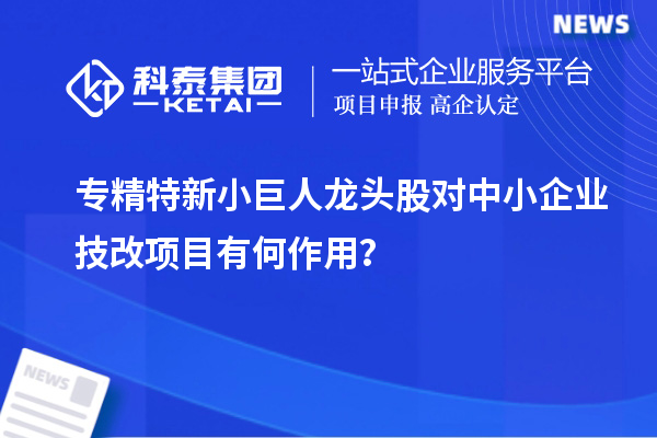 專精特新小巨人龍頭股對中小企業技改項目有何作用？