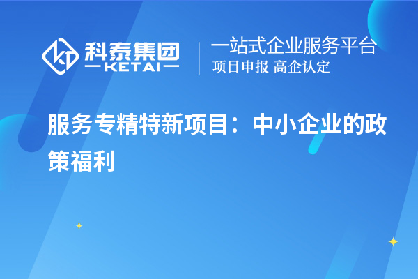 服務專精特新項目：中小企業的政策福利