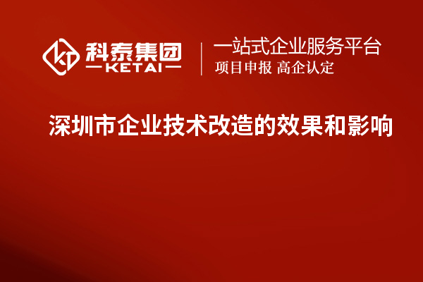 深圳市企業(yè)技術(shù)改造：成果評估與影響分析