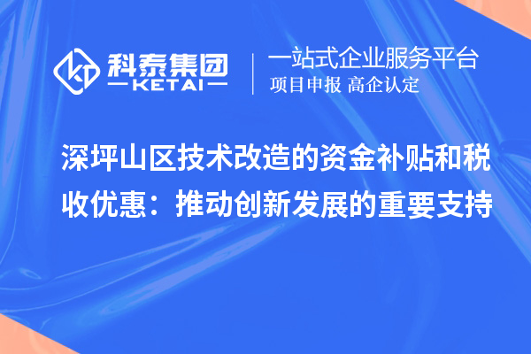  深坪山區技術改造的資金補貼和稅收優惠：推動創新發展的重要支持