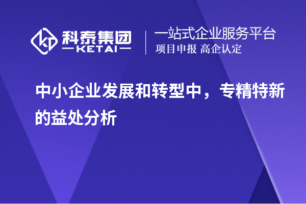 中小企業發展和轉型中，專精特新的益處分析		 		