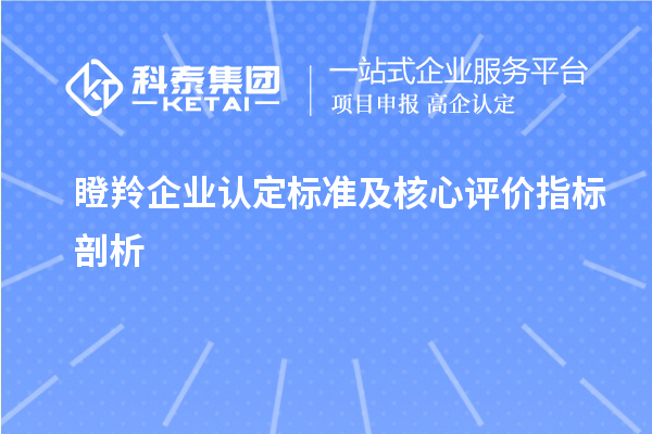 <a href=http://5511mu.com/fuwu/dengling.html target=_blank class=infotextkey>瞪羚企業(yè)認(rèn)定</a>標(biāo)準(zhǔn)及核心評(píng)價(jià)指標(biāo)剖析		 		