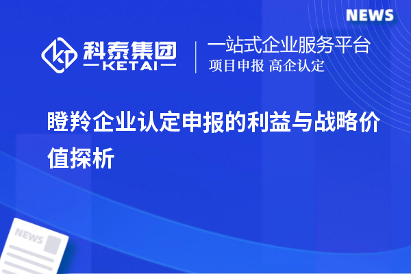 瞪羚企業(yè)認(rèn)定申報的利益與戰(zhàn)略價值探析		 		