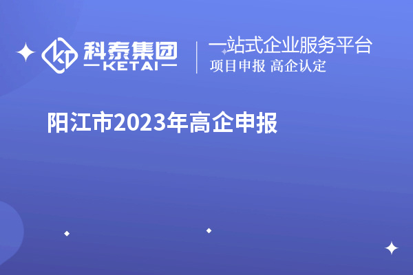 陽(yáng)江市2023年高企申報(bào)