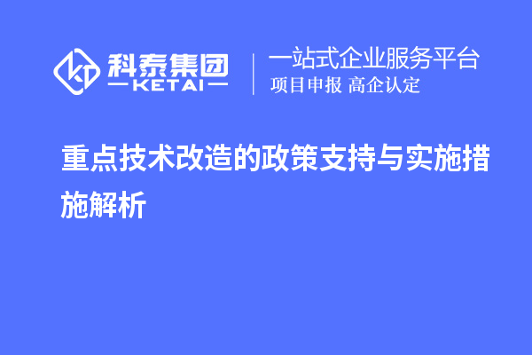 重點技術改造的政策支持與實施措施解析		 		