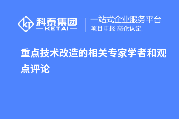  重點技術改造的相關專家學者和觀點評論