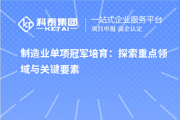 制造業單項冠軍培育：探索重點領域與關鍵要素