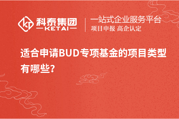 適合申請BUD專項基金的項目類型有哪些？