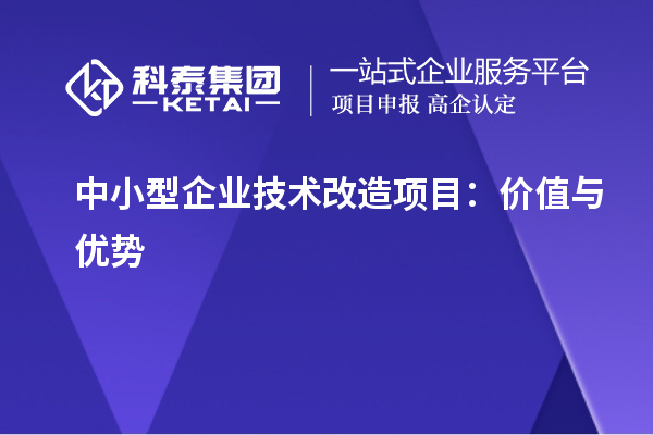 中小型企業(yè)技術(shù)改造項目：價值與優(yōu)勢	 		