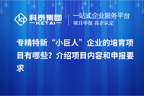 專精特新“小巨人”企業(yè)的培育項(xiàng)目有哪些？介紹項(xiàng)目?jī)?nèi)容和申報(bào)要求