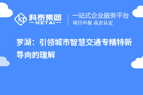 羅湖：引領城市智慧交通專精特新導向的理解