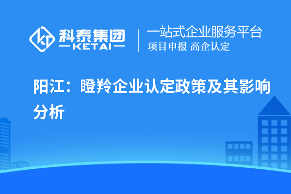 陽江：瞪羚企業認定政策及其影響分析