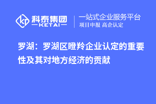 羅湖：羅湖區(qū)瞪羚企業(yè)認(rèn)定的重要性及其對(duì)地方經(jīng)濟(jì)的貢獻(xiàn)