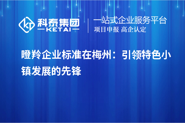 瞪羚企業(yè)標(biāo)準(zhǔn)在梅州：引領(lǐng)特色小鎮(zhèn)發(fā)展的先鋒