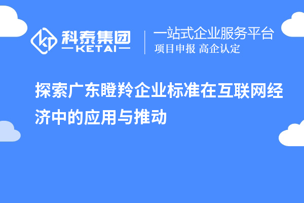 探索廣東瞪羚企業標準在互聯網經濟中的應用與推動