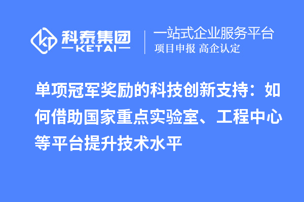 單項冠軍獎勵的科技創新支持：如何借助國家重點實驗室、工程中心等平臺提升技術水平