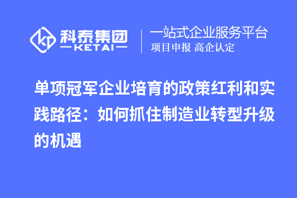 單項冠軍企業培育的政策紅利和實踐路徑：如何抓住制造業轉型升級的機遇