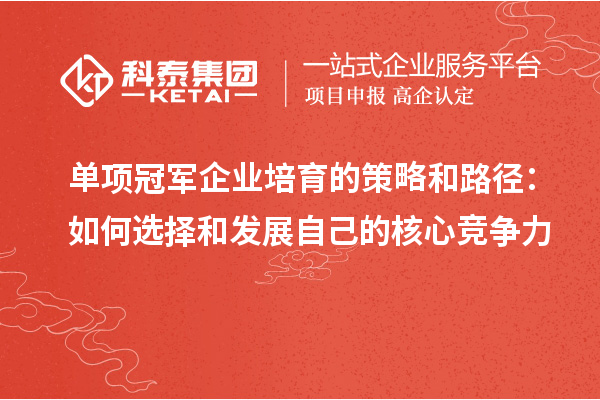 單項冠軍企業培育的策略和路徑：如何選擇和發展自己的核心競爭力