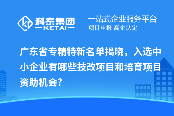 廣東省專精特新名單揭曉，入選中小企業(yè)有哪些技改項目和培育項目資助機會?