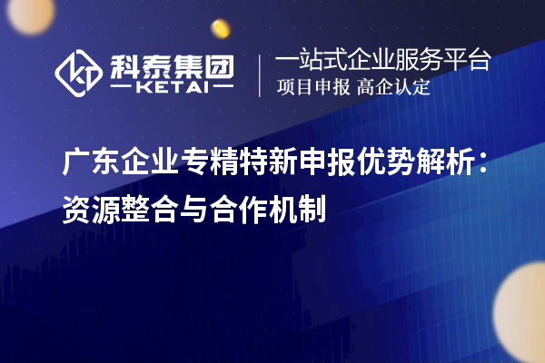 廣東企業(yè)專精特新申報優(yōu)勢解析：資源整合與合作機制