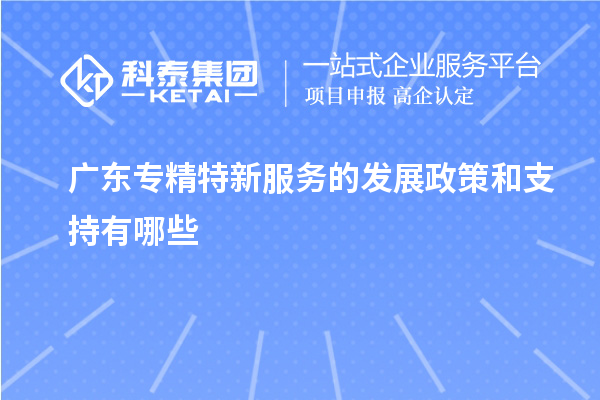  廣東專精特新服務(wù)的發(fā)展政策和支持有哪些