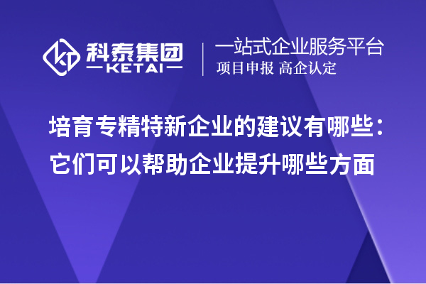 培育專精特新企業的建議有哪些：它們可以幫助企業提升哪些方面