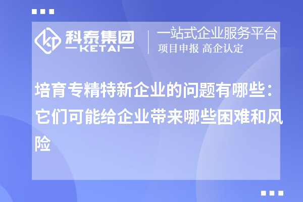 培育專精特新企業的問題有哪些：它們可能給企業帶來哪些困難和風險