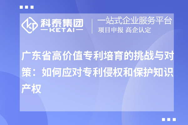 廣東省高價值專利培育的挑戰(zhàn)與對策：如何應對專利侵權和保護知識產(chǎn)權