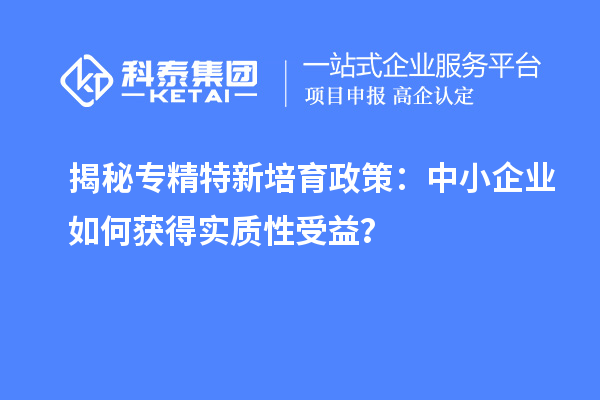 揭秘專精特新培育政策：中小企業如何獲得實質性受益？